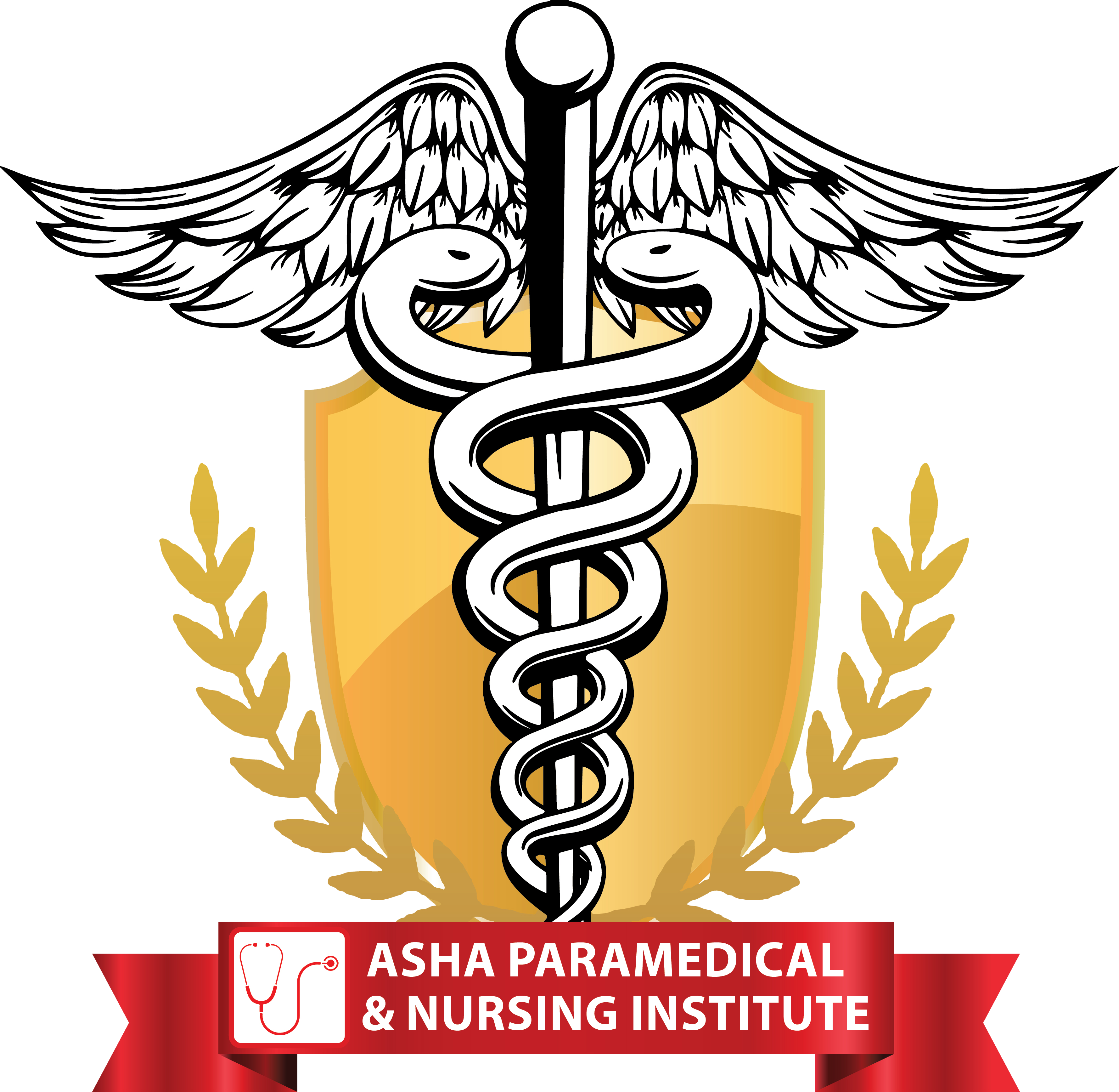 Asha Paramedical & Nursing Institute